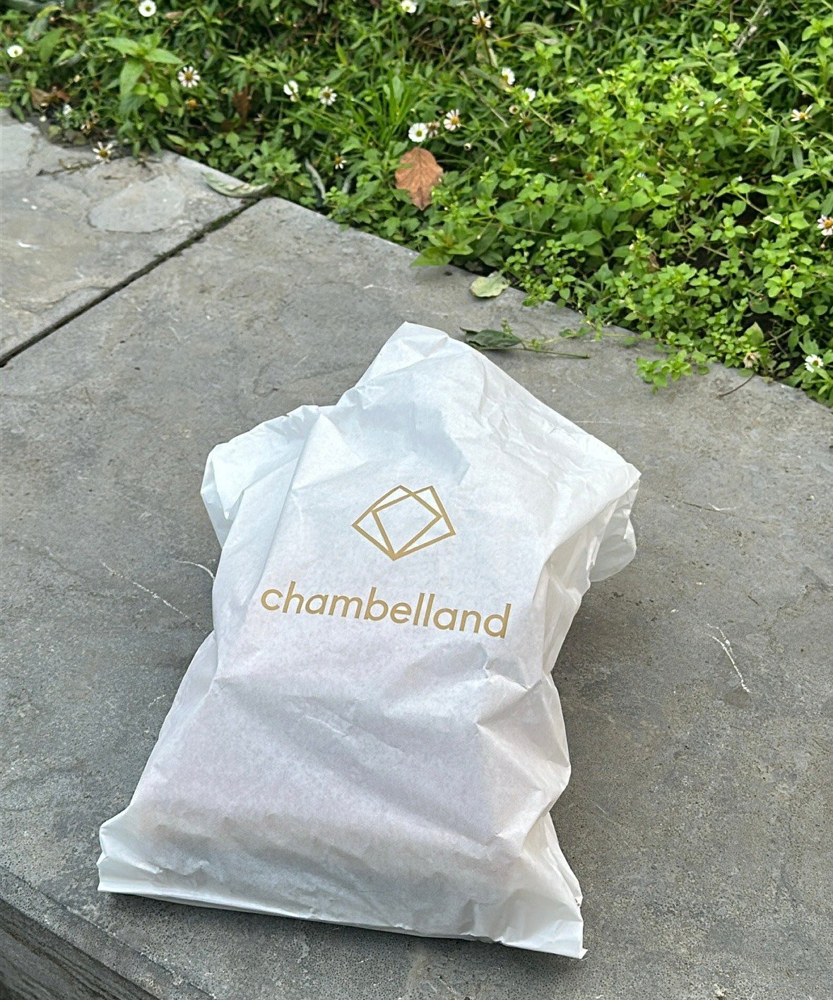 chambelland bag on a rock 