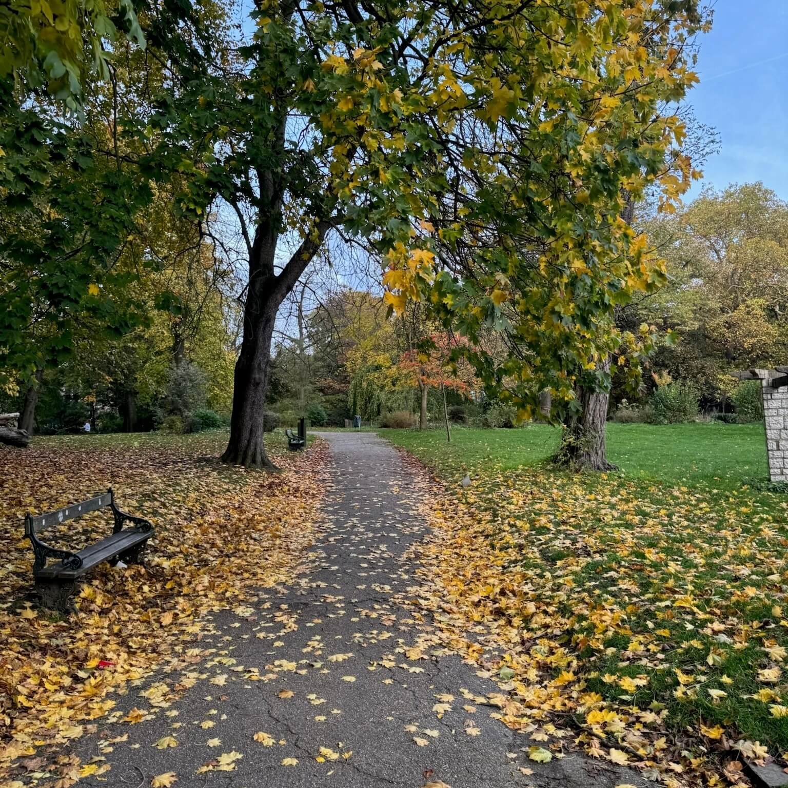 Fall vibes at Citadelpark with golden leaves covering the paths.
