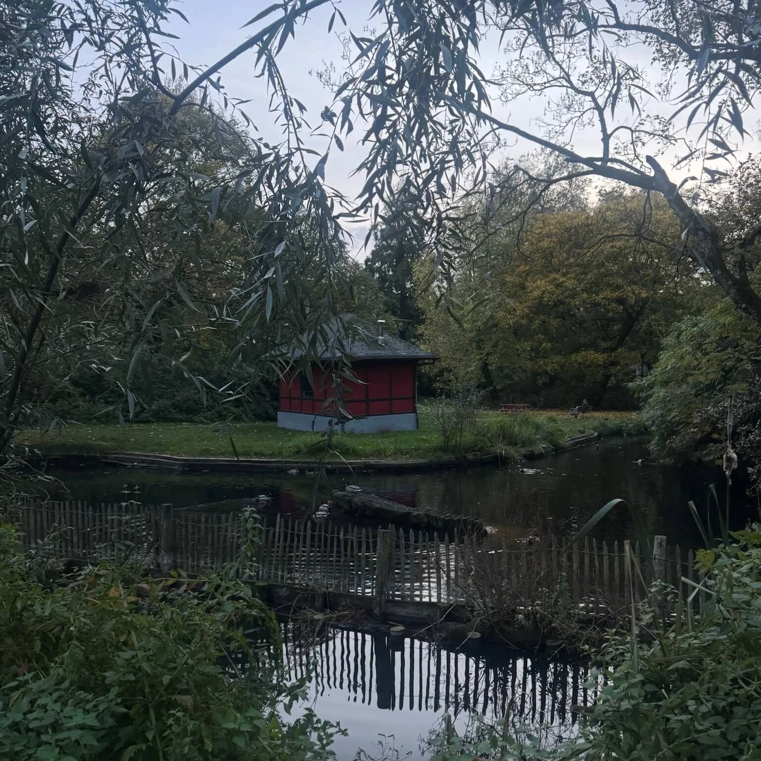 A pond with a small, charming house at Muinkpark.