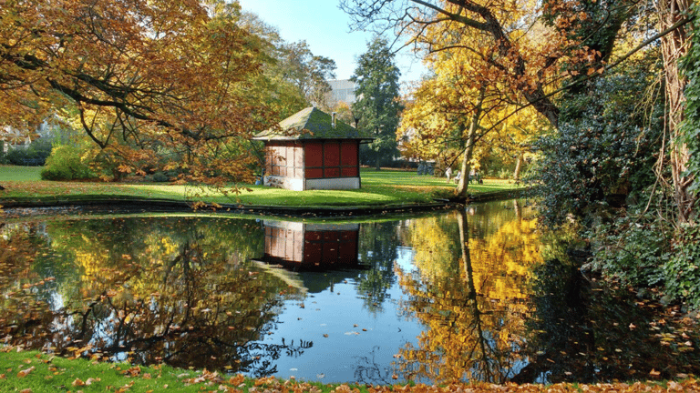 A red hut along a pond surrounded by trees in Muinkpark