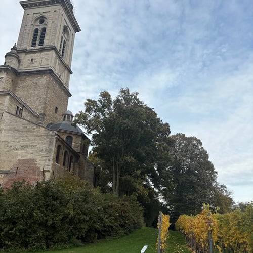 St Peter’s Abbey Vineyard