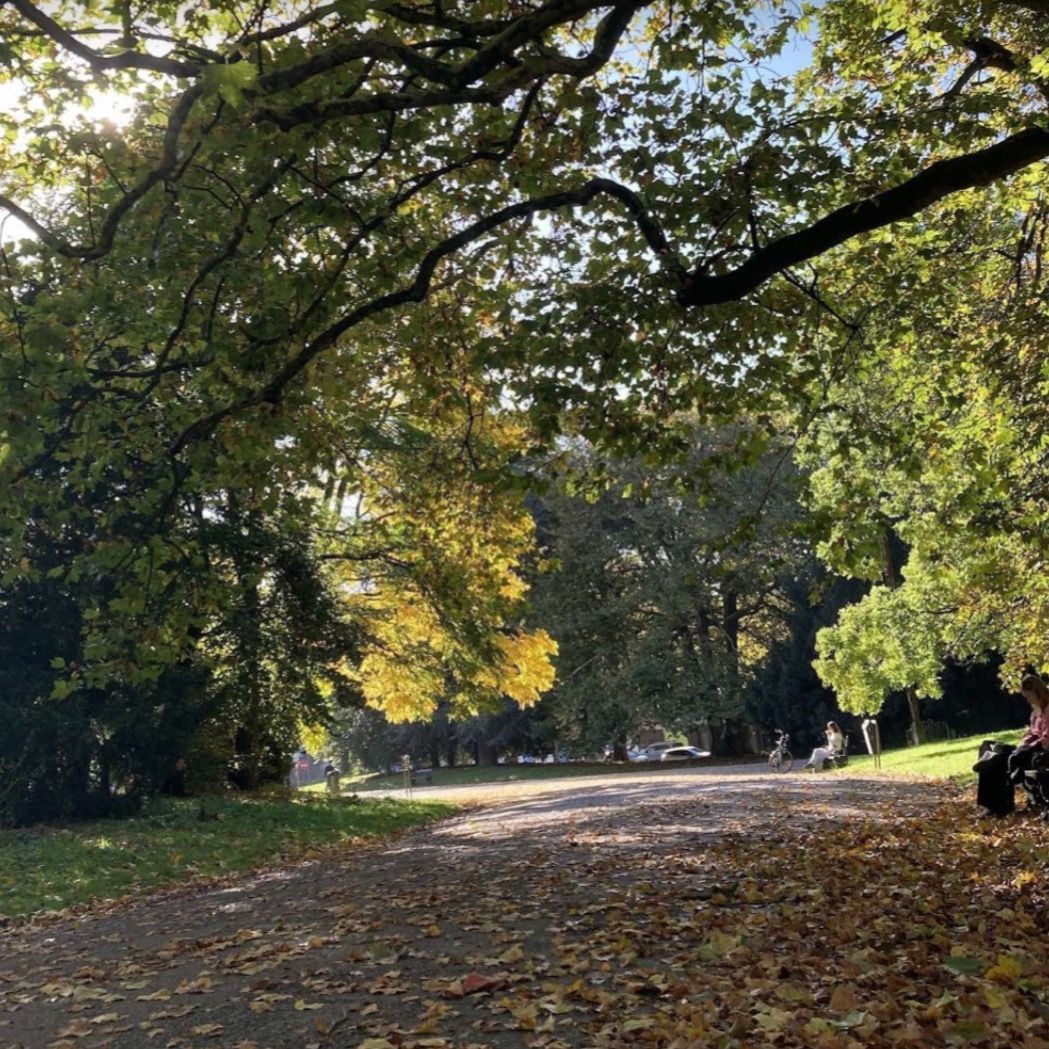 Citadelpark in Ghent with a tree-lined walking path in autumn
