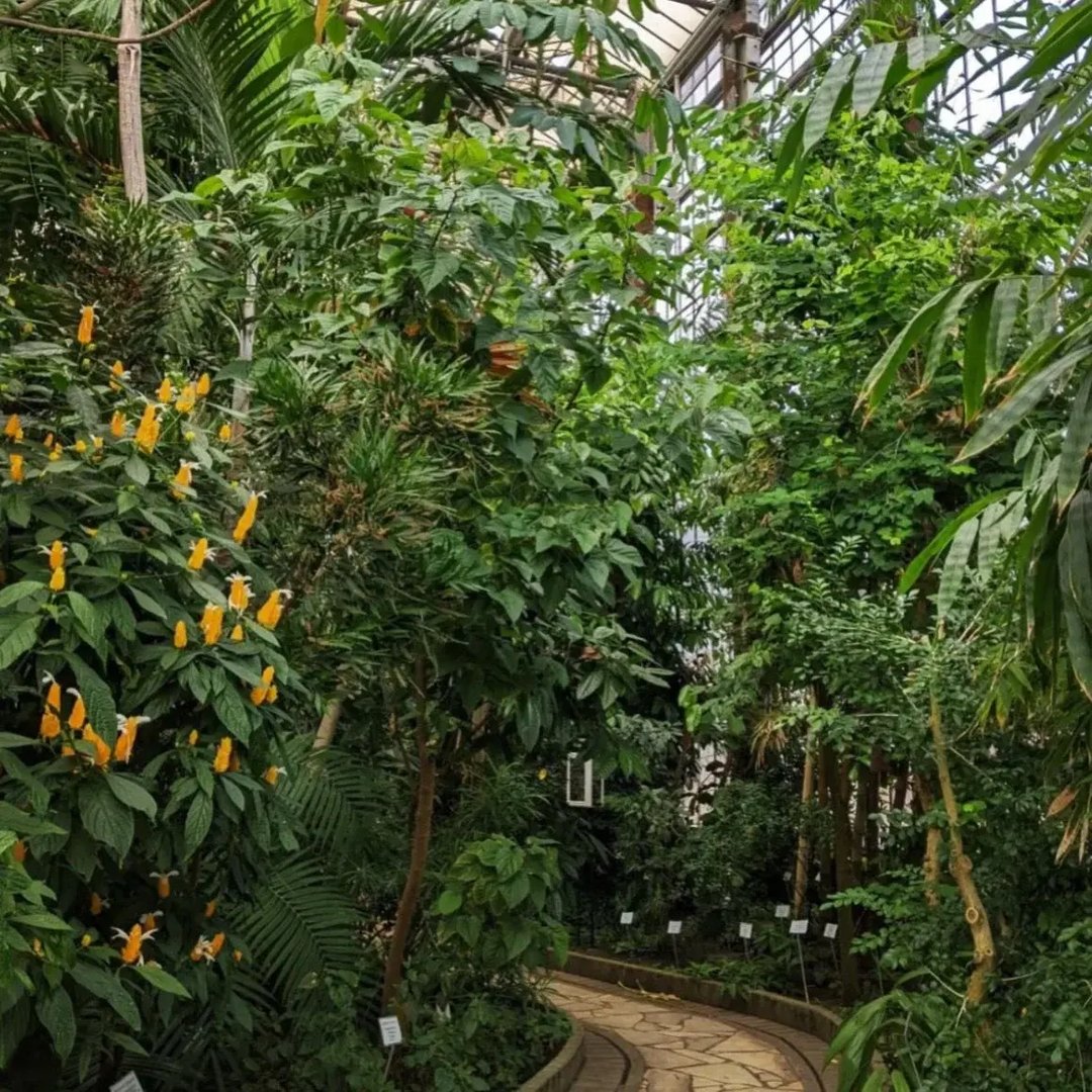 Ghent University Botanical Garden with tropical plants and a walking path
