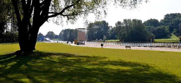 A recreational sports park on a beach between a lake and a grassy field with a tree