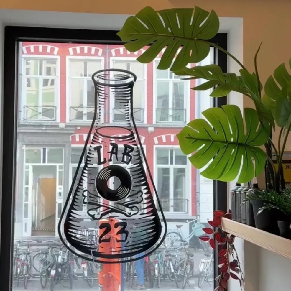 Logo on window with a bottle, vinyl and bones and 