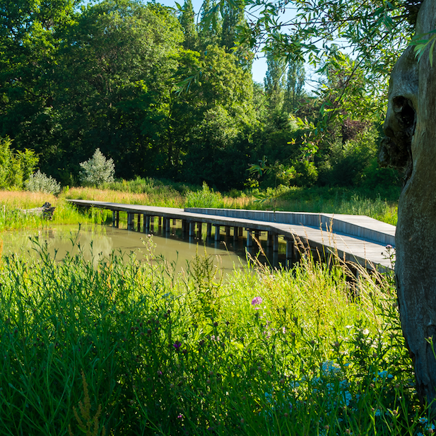 Beautiful view of the Rozekesbos in Aalst