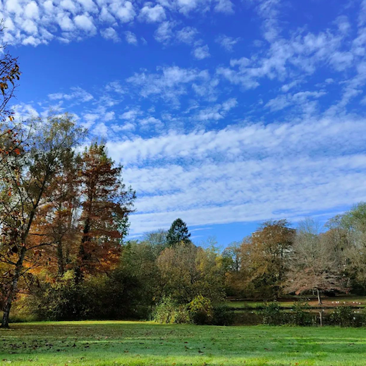 Beautiful view of the city park in Aalst