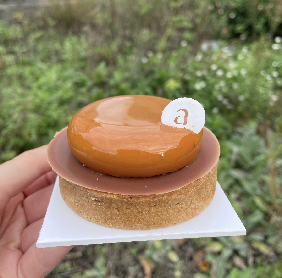 brown pastry being held with a green background 